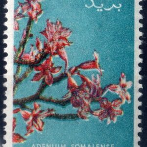 1956 Fiori filigrana stelle