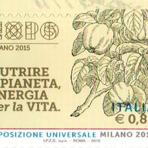 2015 EXPO Milano Xilografie cachi