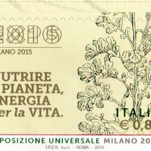 2015 EXPO Milano Xilografie prezzemolo