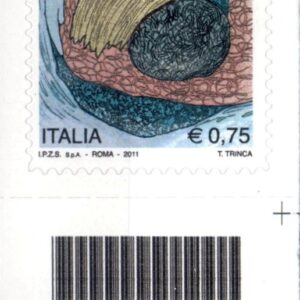 2011 Anno Europeo del Volontariato destro