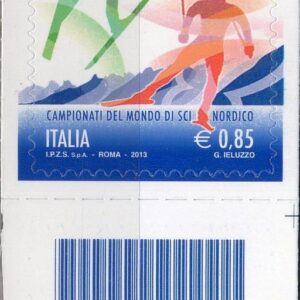 2013 Sci Nordico basso destro