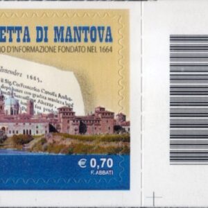 2014 Gazzetta di Mantova basso destro