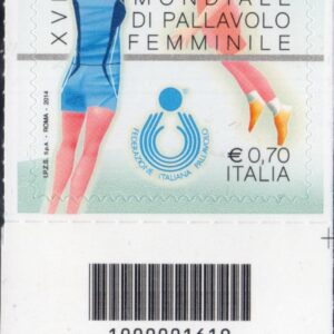 2014 Pallavolo Femminile basso destro