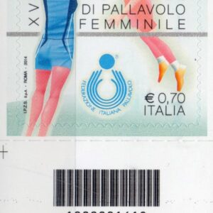 2014 Pallavolo Femminile basso sinistro