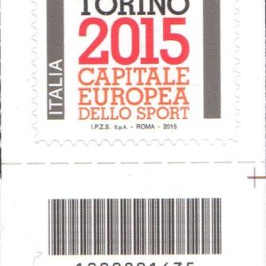 2015 Torino basso destro