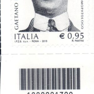 2015 Perusini basso destro