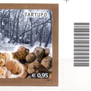 2015 Tartufo alto destro