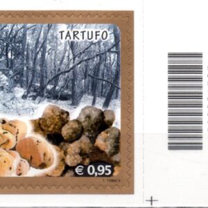 2015 Tartufo basso destro