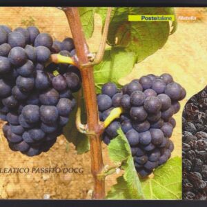 2016 Elba Aleatico Passito DOCG