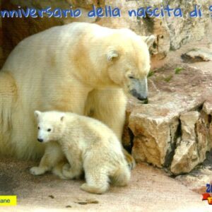 2017 10° Anniversario della Nacita di Snowy - Zoo Safari Fasano 
