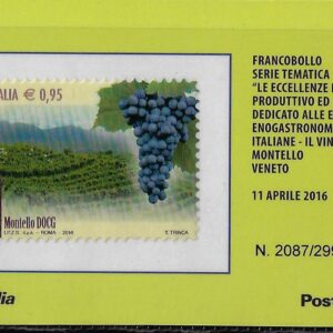 2016 vini - conero