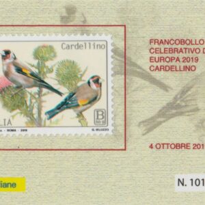 2019 Europa - Cardellino