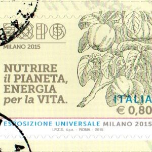 2015 EXPO Milano Xilografie cachi