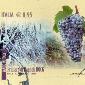 2015 I Vini d'Italia DOCG Friularo di Bagnoli