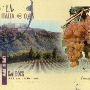 2015 I Vini d'Italia DOCG Gavi