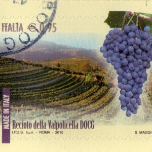 2015 I Vini d'Italia DOCG Reciotto della Valpolicella