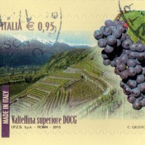 2015 I Vini d'Italia DOCG Valtellina superiore