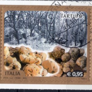 2015 Tartufo