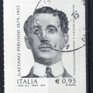 2015 Perusini