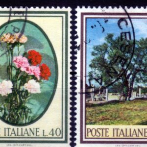 1966 Flora