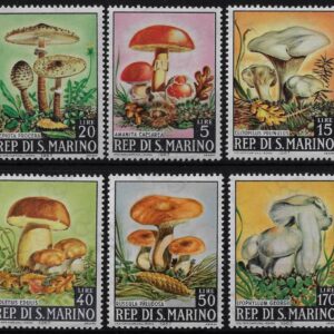 1967 Funghi