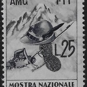 1952 Truppe Alpine