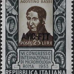 1953 Bassi