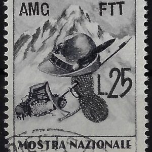1952 Truppe Alpine
