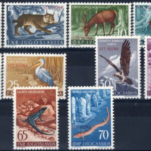 1954 Animali