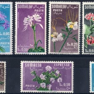 1955 Fiori filigrana ruota