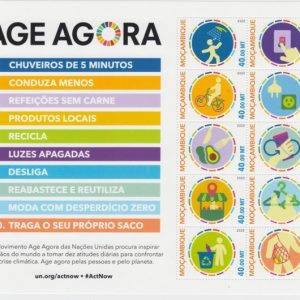 2020 Mozambico Act Now Foglietto Congiunta