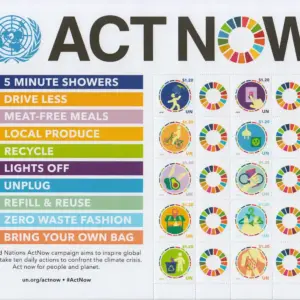 2020 ONU New York Act Now Foglietto Congiunta