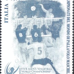 2010 Pallavolo maschile