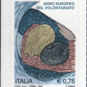 2011 Anno Europeo del Volontariato