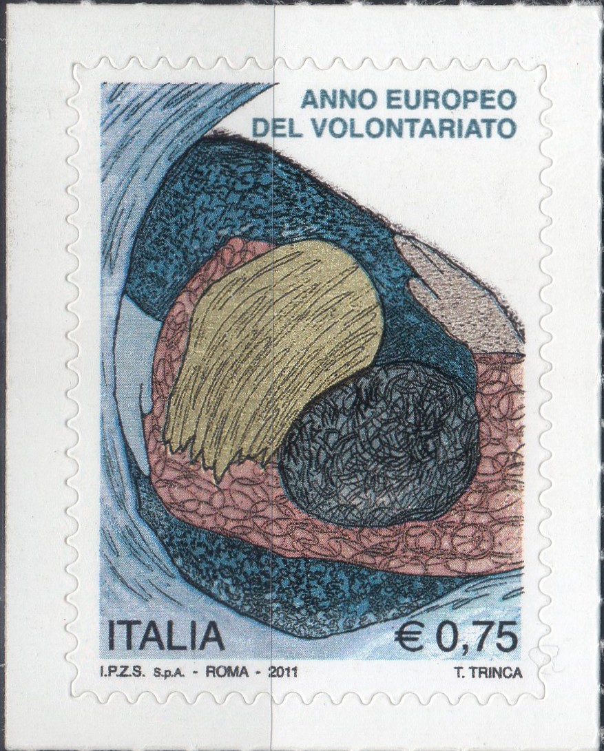 2011 Anno Europeo del Volontariato