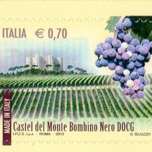 2013 I vini D.O.C.G. 2°- Bombino Nero