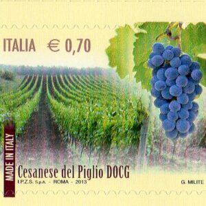 2013 I vini D.O.C.G. 2°- Casanese