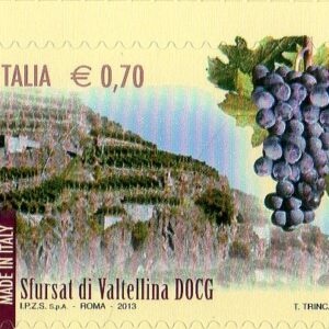 2013 I vini D.O.C.G. 2°- Sfursat