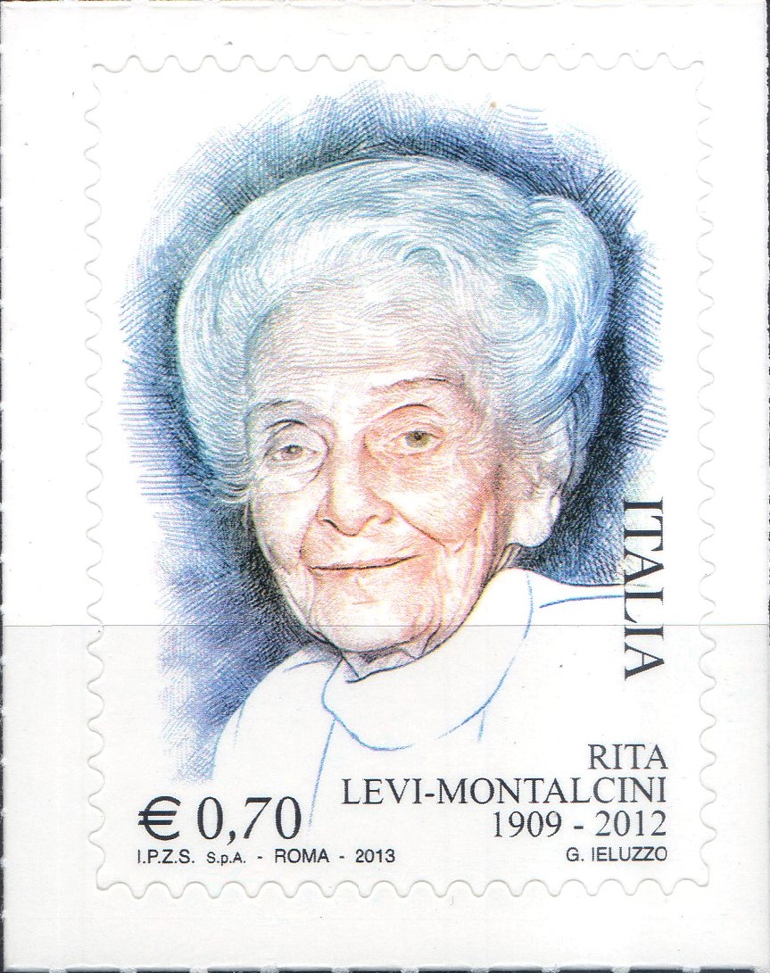 2013 Rita Levi Montalcini