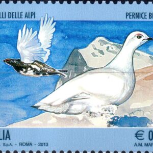 2013 Uccelli delle Alpi Pernice bianca