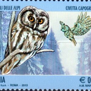 2013 Uccelli delle Alpi Civetta capogrosso