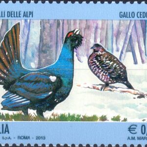 2013 Uccelli delle Alpi Gallo cedrone