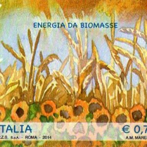 2014 Energie Rinnovabili da Biomasse
