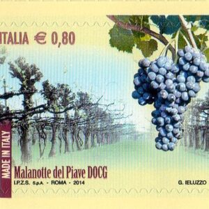 2014 I vini D.O.C.G. 3° Malanotte del Piave