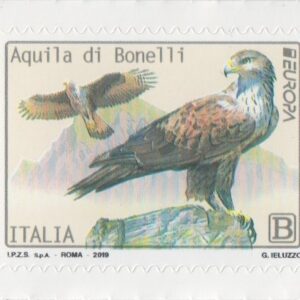 2019 Europa - Aquila di Bonelli