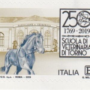 2019 Scuola veterianaria di Torino