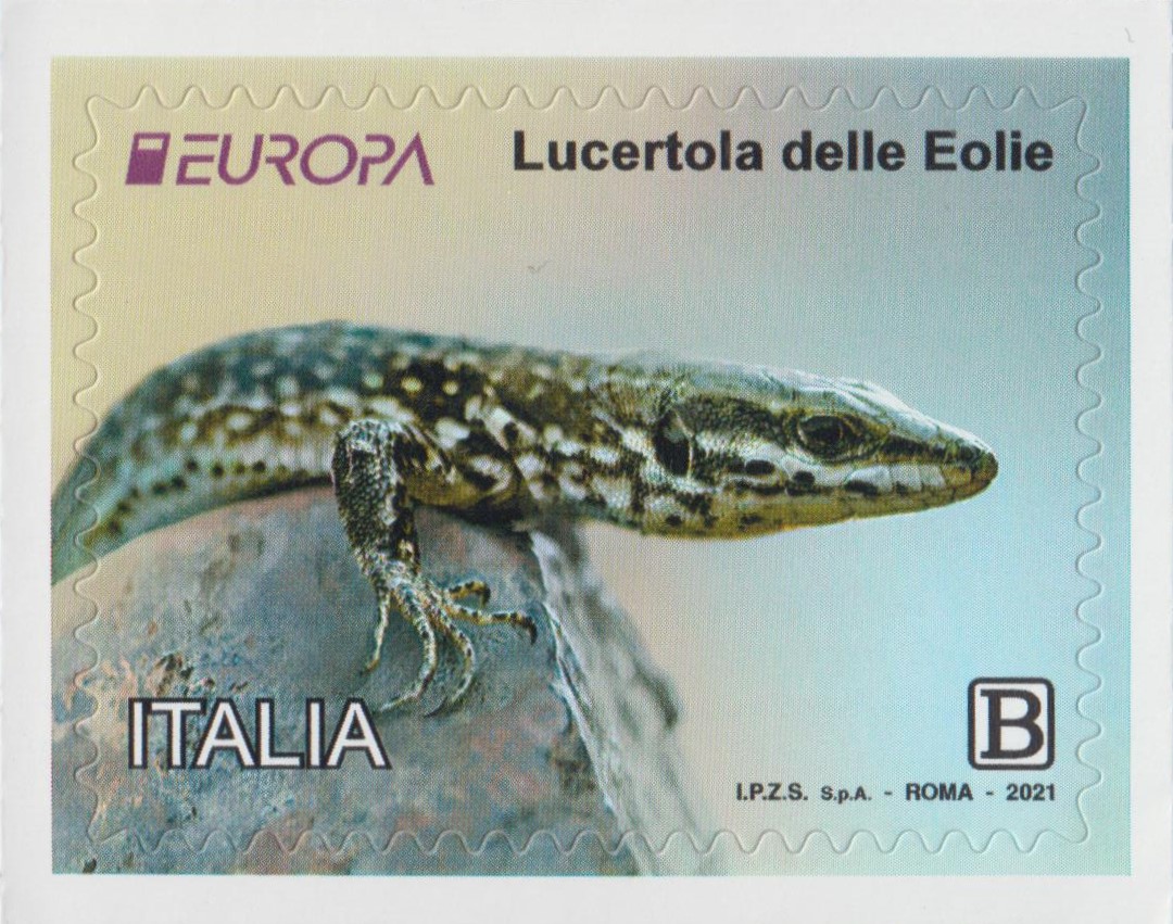 2021 Europa - Lucertola delle Eolie