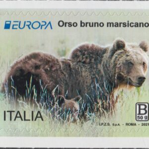 2021 Europa - Orso Bruno Marsicano