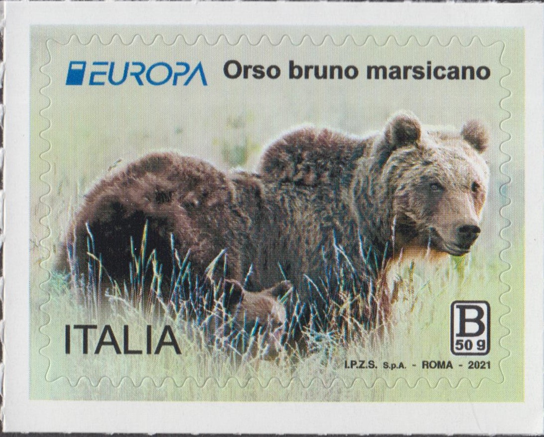2021 Europa - Orso Bruno Marsicano