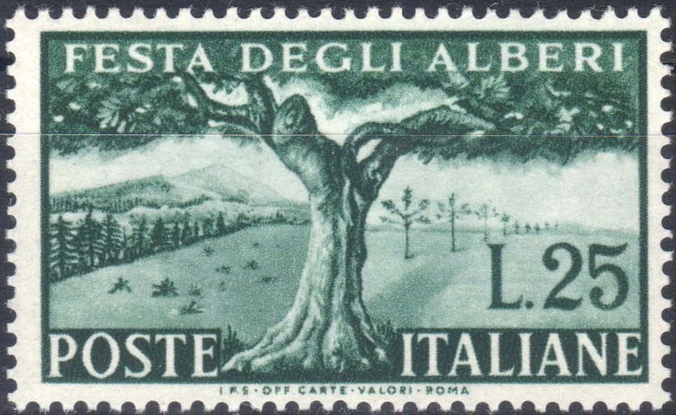 1951 £ 25 Festa Alberi